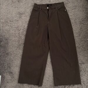 Banana Republic HR Pleated Raw Truffle Wide Leg Crop